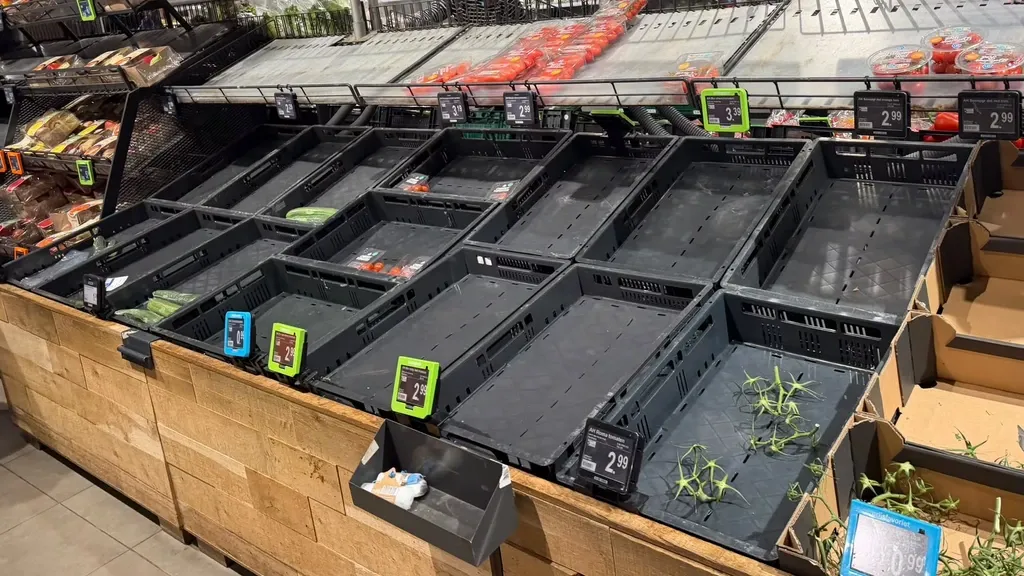 Albert Heijn distribution centers halted after digital security incident — empty shelves possible