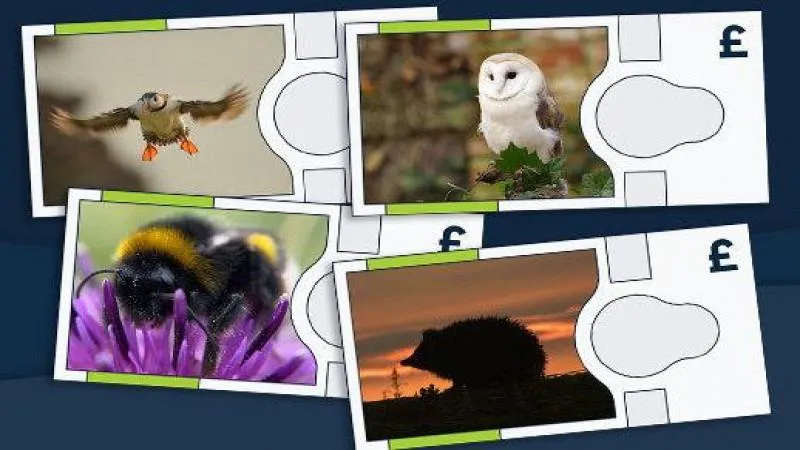 New British banknotes to feature hedgehog and bumblebee