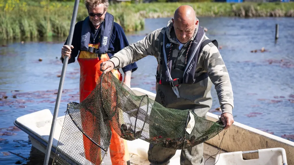 Hobby anglers and local teams will now be allowed to remove invasive crayfish