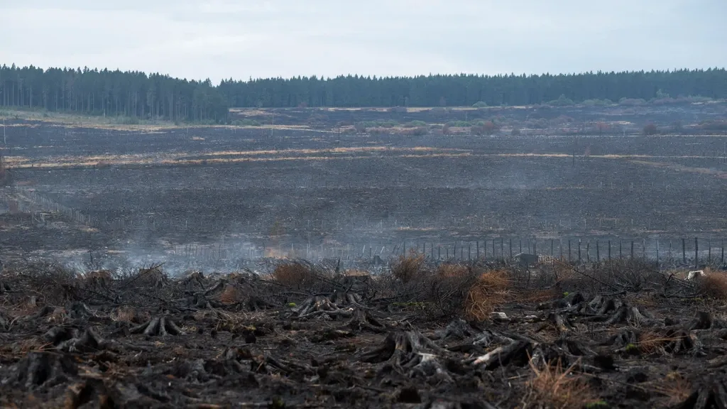 Wildfire in Belgian Ardennes possibly started by farm machinery