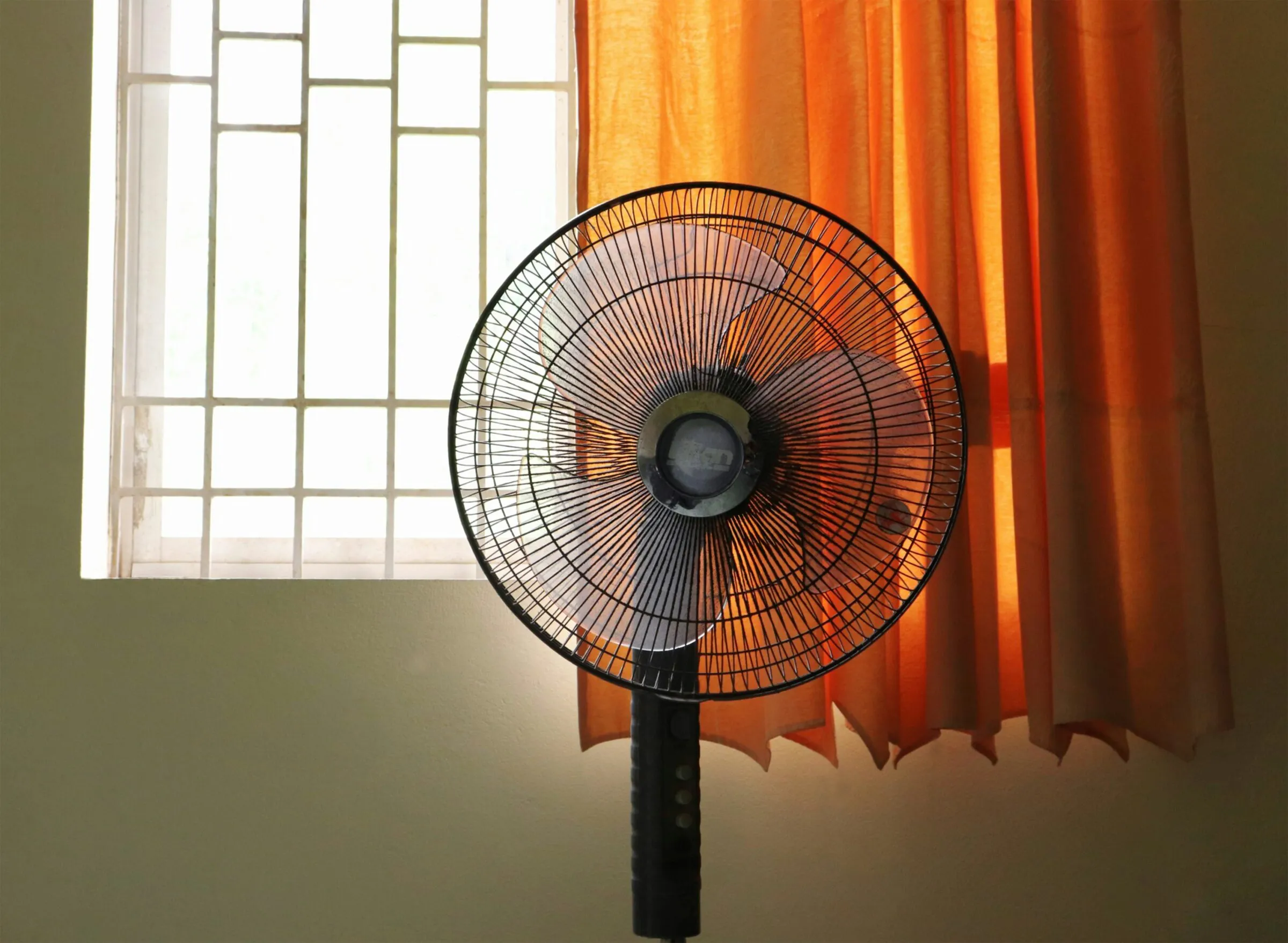 Europe’s heatwave deaths are political choices — not ‘natural disasters’