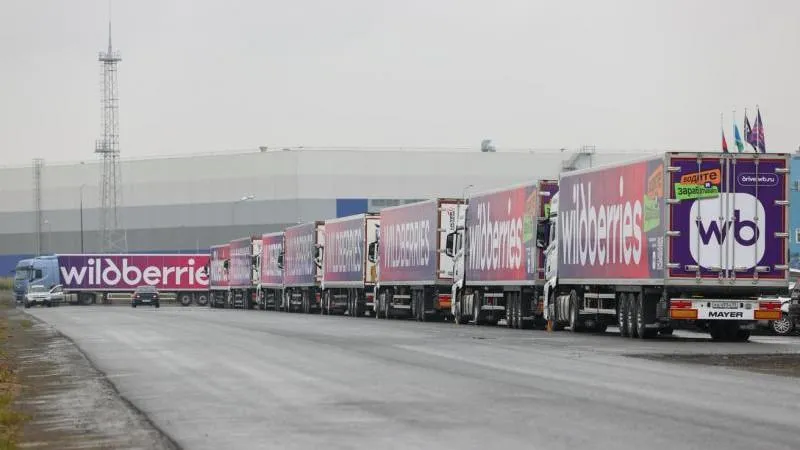Wildberries strengthens its presence in Kazakhstan with about 260,000 sq. m of warehouses