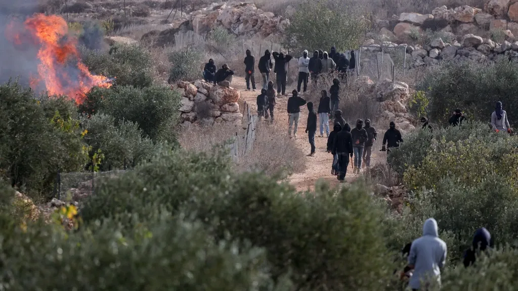 Injured in attack on olive grove in the West Bank