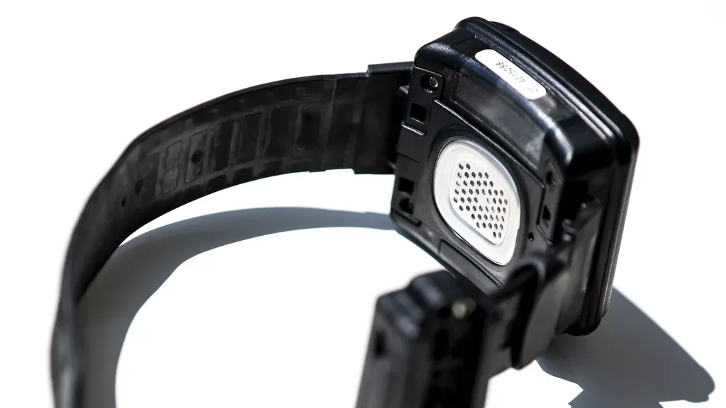 Lower House backs alcohol-monitor ankle bracelet for offenders