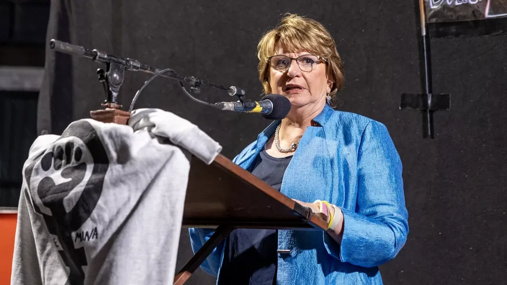 Prominent PvdA figure Mariëtte Hamer to lead Pro list in next year’s Senate election