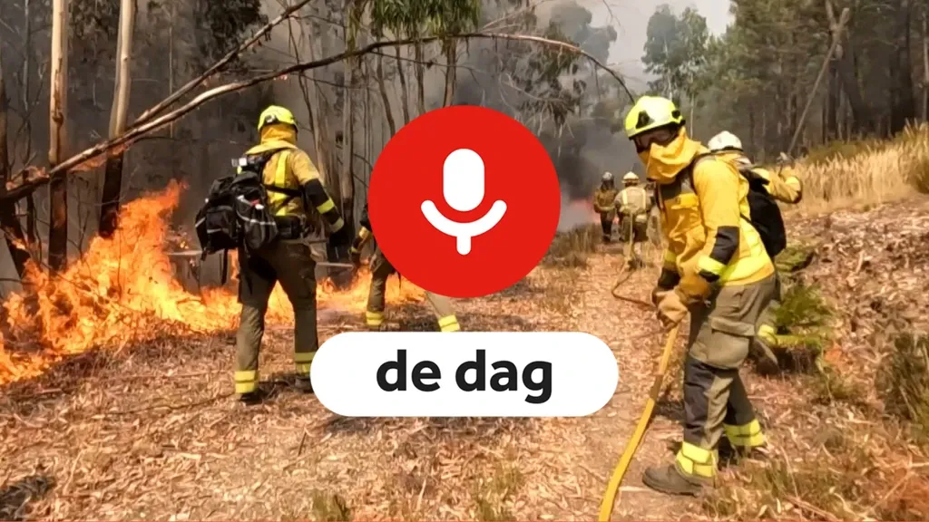 Podcast De Dag: working amid the wildfires